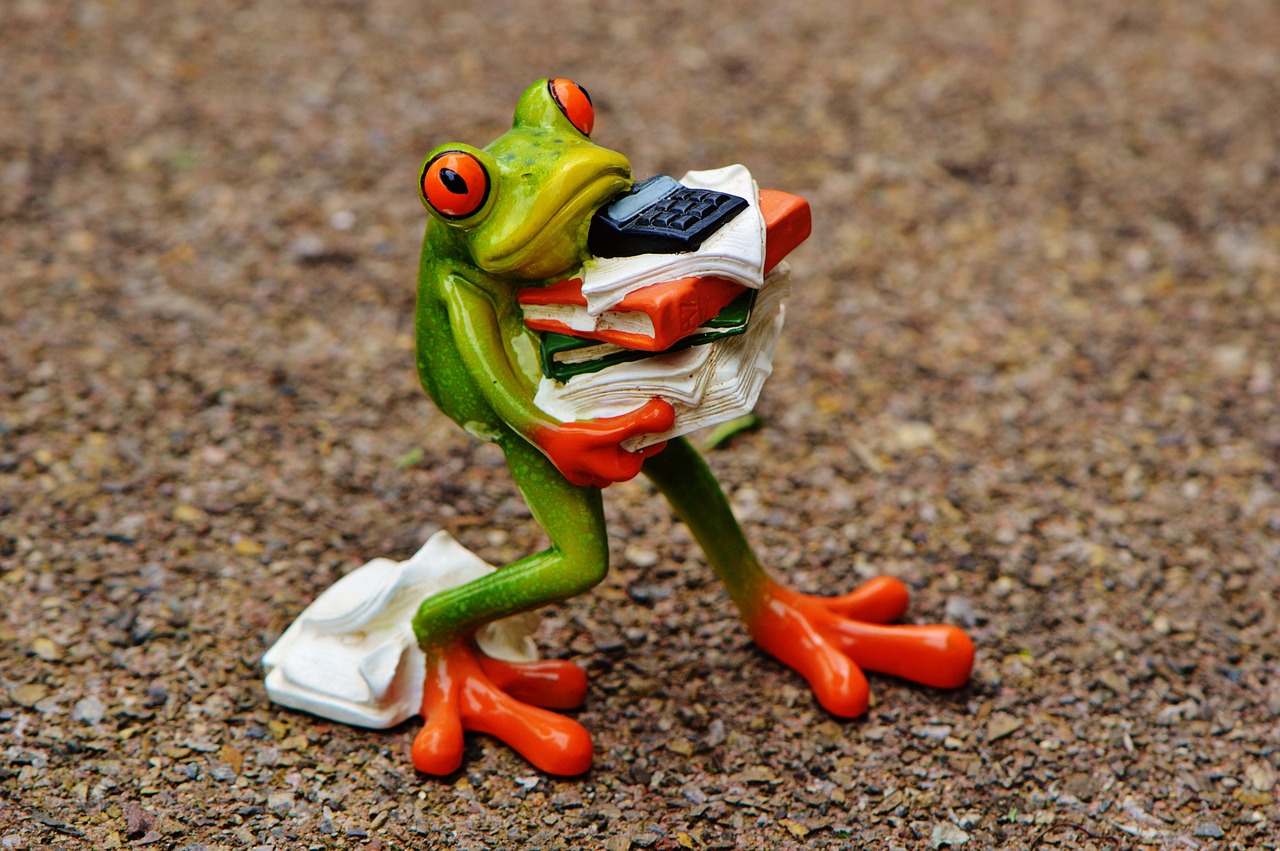 frog, figure, files-1339892.jpg